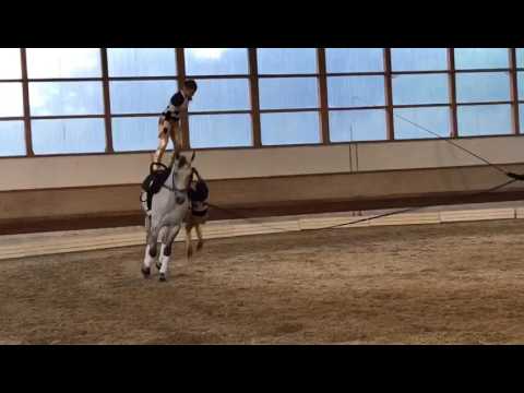 Schwäbische Meisterschaft 2017, Doppel Franzi Seiffert & Zoe Spreng PSV Roggenburg