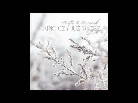 Aneta Paszyńska & Dominik Piotrowski - "Mario czy Ty wiesz"