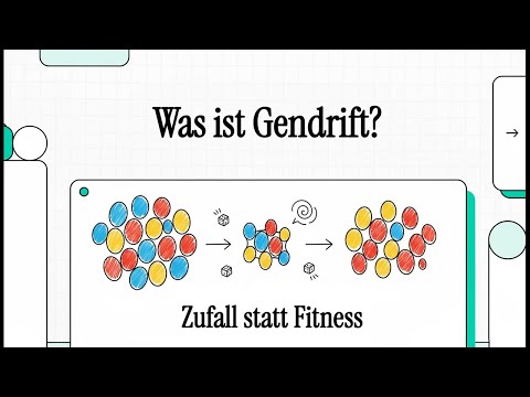 Gendrift und Flaschenhals-Effekt | EINFACH ERKLÄRT
