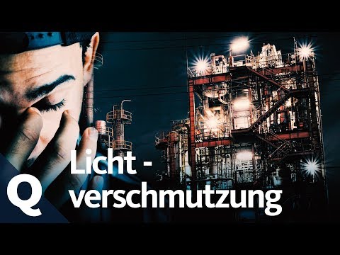 Light pollution: Why you hardly see stars in cities | Quarks