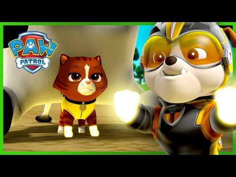 Szuperkutyik a Szupercicák Macskatasztrófa csapata ellen - Mancs Őrjárat - PAW Patrol epizód