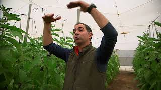 Thumbnail del capítulo