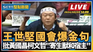 王世堅國會爆金句 批黃柯"寄生獸和宿主"