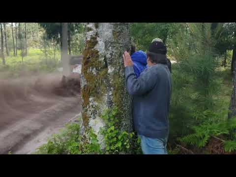 Rally de Portugal 2019/Kris Meeke Test/Toyota Yaris Wrc