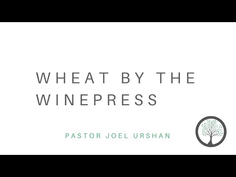 Wheat By The Winepress - Pastor Joel Urshan - 1.23.22