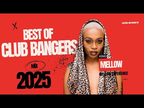 MELLOW EXPERIENCE 3 - KENYAN, BONGO, AFROBEAT, AMAPIANO MIX [Davido, Rema, Arya Starr,Watendawili]