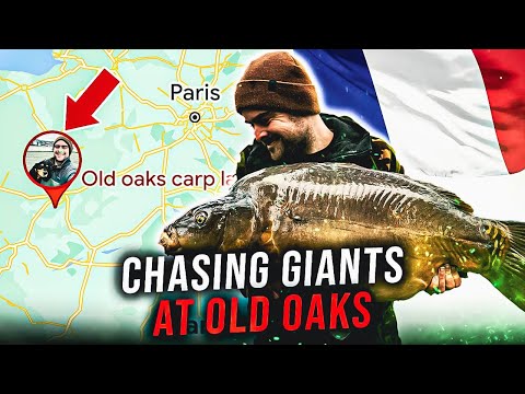 Jimmy's Diary | Chasing Giants | Old Oaks Lake, France | Big Carp