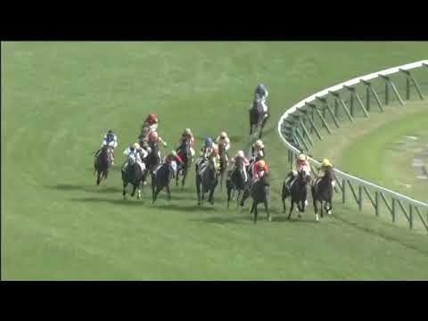 2018.10.28 2yo Newcomer (JPN) - Levolg