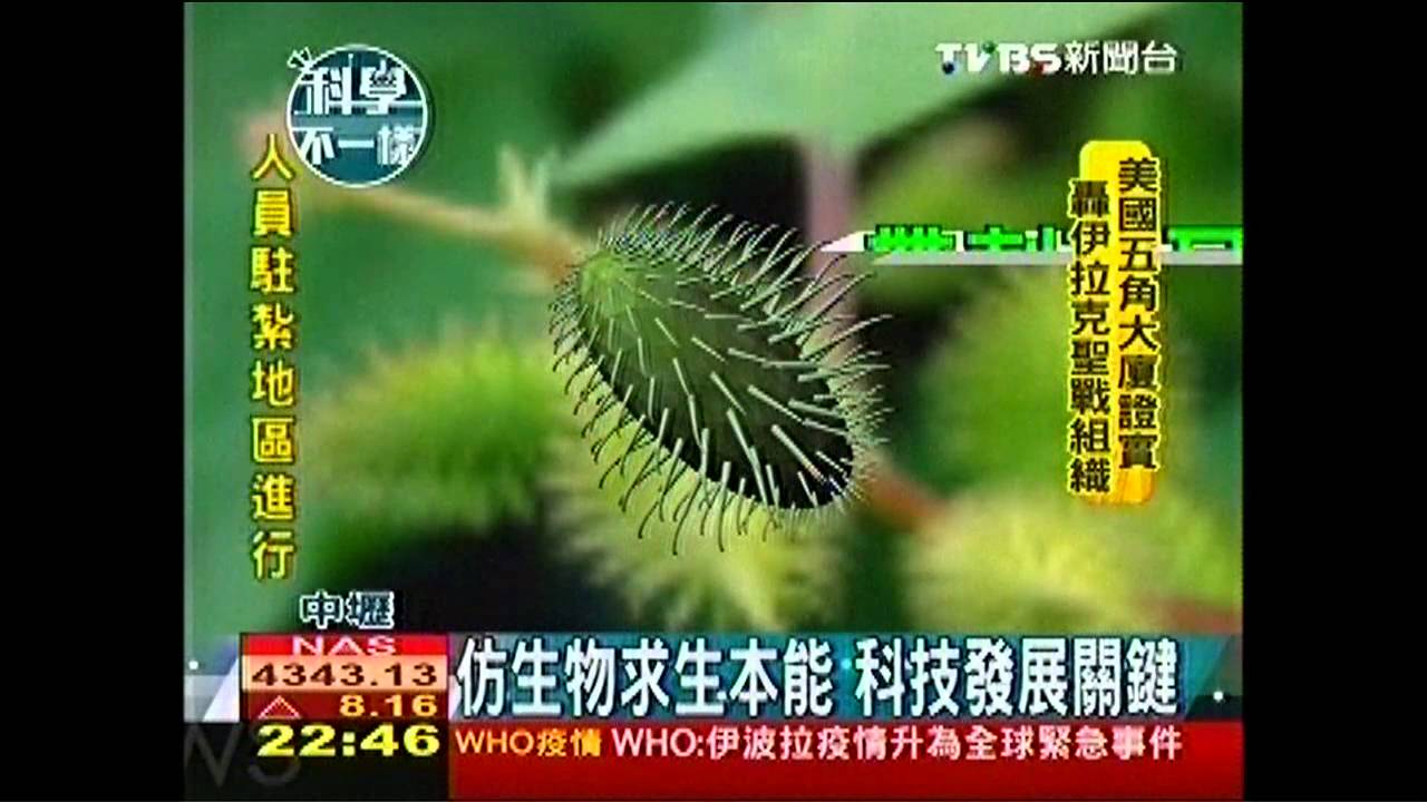 【科學不一樣】仿生物求生本能 科技發展關鍵