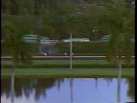 1989 Breeders cup classic