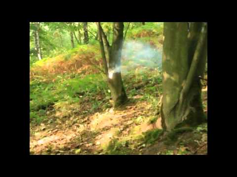 Madam WhiteWorld MAD14