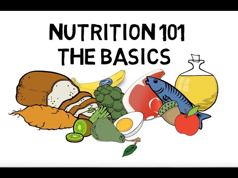 Nutrition 101: The Basics of Macronutrients