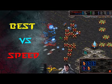 KCM 2021 S4 W7 G4 ZvP - Queen vs Snow - PARTIDAAAAAZAAAAAAA!!