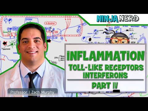 Immunology | Inflammation: Toll Like Receptors and Interferons: Part 4