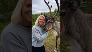 OS NORUEGUESES COMEM ESSE ANIMAL! 🇳🇴😳