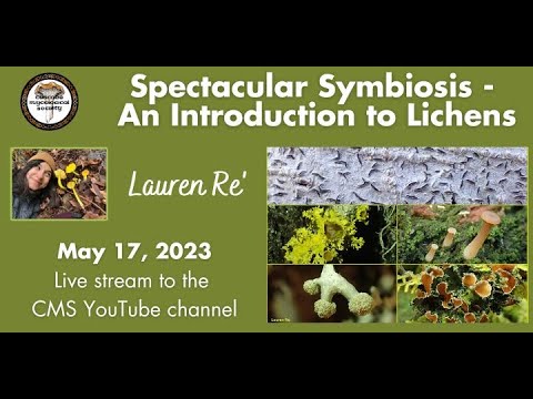 An Introduction to Lichens - Lauren Re'