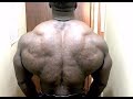 Greatest back workout in history