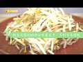 促進排便好食物　綠豆芽挑選小撇步
