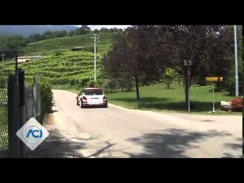 Campionato Italiano WRC 2014 - 31° Rally della Marca - Shakedown