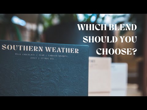 Which Coffee Blend Is Right For You?