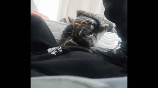 boots trampling
