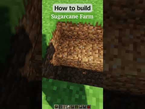 Insane Minecraft Sugarcane Farm Challenge!