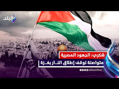 لا لتصفية القضية الفلسطينية .. تصريحات هامة لـ وزير الخارجية سامح شكري