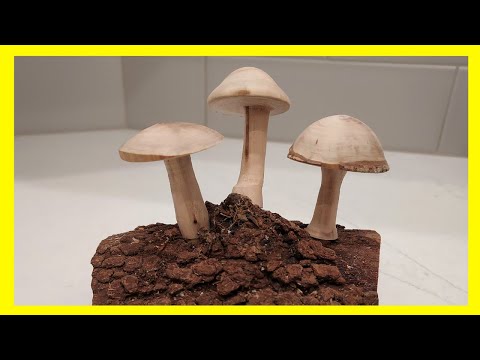 Let’s Turn a Mushroom!