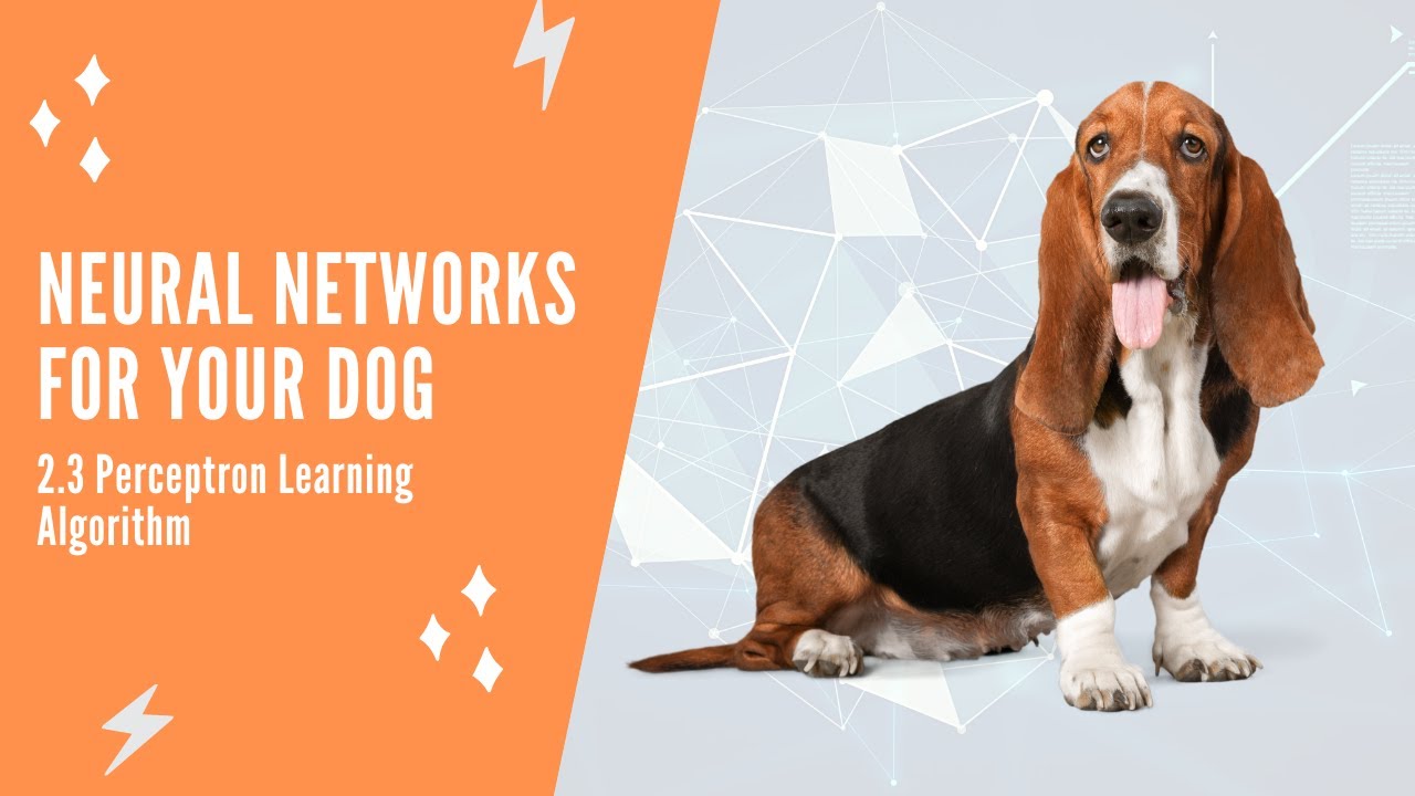 Neural Networks For Your Dog - 2.3 Perceptron Learning Algorithm