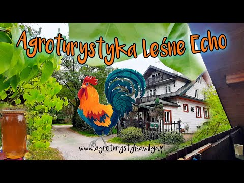 Agroturystyka Leśne Echo – Twoje miejsce na odpoczynek blisko natury