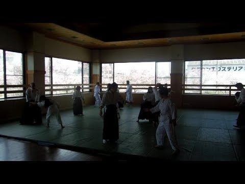 Spring in a Japanese Dojo!
