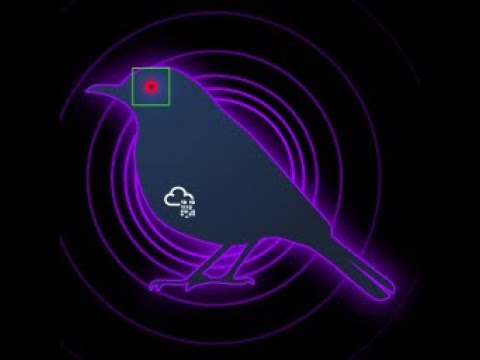 Atomic Bird Goes Purple #2 TryHackMe