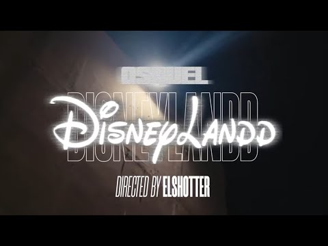 Miniatura de DisneyLandd