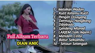 Download lagu DIAN ANIC MELEKAN WADON mp3