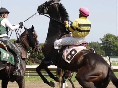 Racing Term #110 "Flip" of Frankie Lovato's 365 Days of Terminology