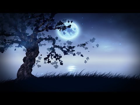 Spooky Music - Cryptozoologist