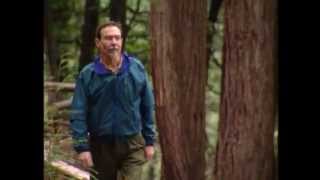 Carver A. Mead- 2002 National Medal of Technology