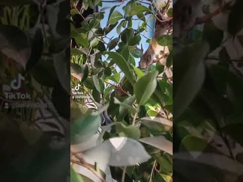 Однажды... 🌸 Мотивационное видео 🌸