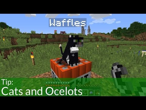 download lagu mp3 mp4 Name Tag Minecraft Cat, download lagu Name Tag Minecraft Cat gratis, unduh video klip Name Tag Minecraft Cat