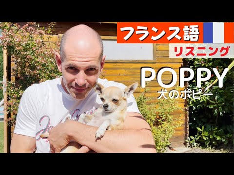 フランス語での犬の名前