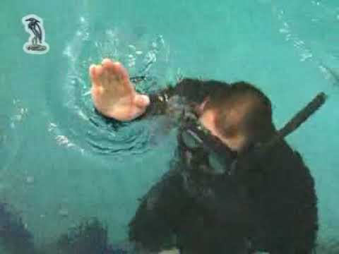 A Műszakiak Napján jártunk