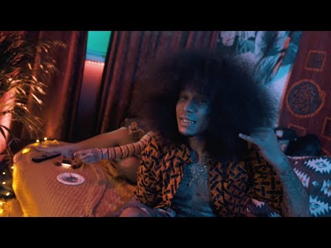 Digitzz - The Fro Up