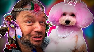 Miniatura do vídeo