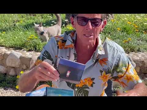 Yani Martinelli Polaris released 24 September 2024