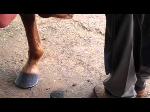 Slide 2 - Jackaroo 12" Farrier Clincher  (video)