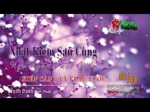 Kiến Càng Và Trâu Nước