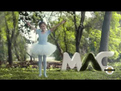 download lagu mp3 mp4 Raiz So Paulo, download lagu Raiz So Paulo gratis, unduh video klip Raiz So Paulo