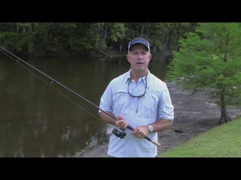 How to catch more speckled seatrout (tips from a pro)