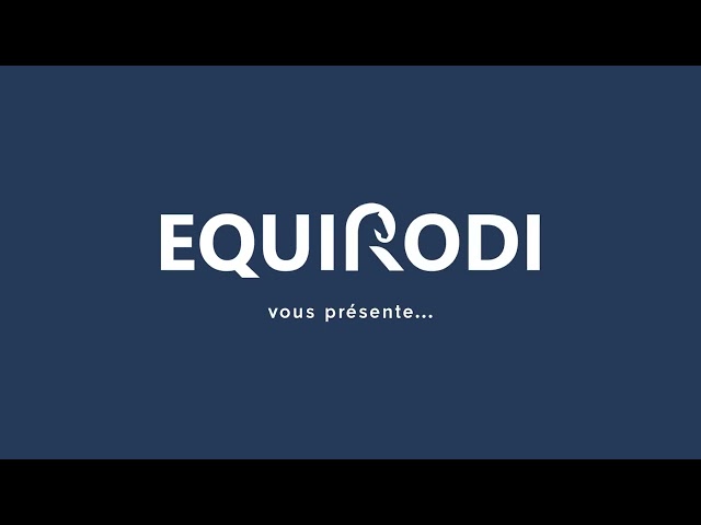 Élégant hongre 7 ans 