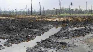 A Public Disservice Announcement from Shell